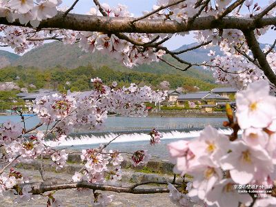 ���R�E�n����01�y�_�E�����[�h����ꍇ�͉E�̉摜�T�C�Y���N���b�N���Ă��������z