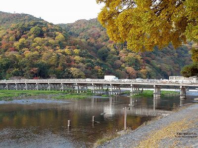 ���R�E�n����08�y�_�E�����[�h����ꍇ�͉E�̉摜�T�C�Y���N���b�N���Ă��������z