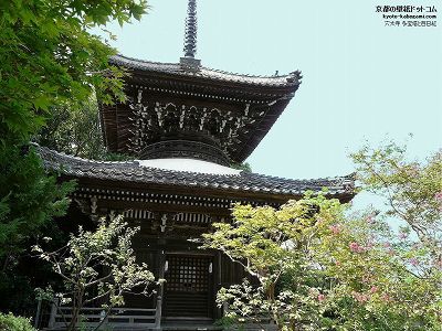 ������04�y�_�E�����[�h����ꍇ�͉E�̉摜�T�C�Y���N���b�N���Ă��������z