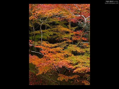 ���F��ω���01�y�_�E�����[�h����ꍇ�͉E�̉摜�T�C�Y���N���b�N���Ă��������z