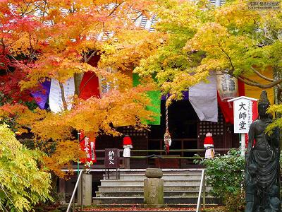 ���F��ω���02�y�_�E�����[�h����ꍇ�͉E�̉摜�T�C�Y���N���b�N���Ă��������z