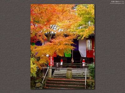 ���F��ω���04�y�_�E�����[�h����ꍇ�͉E�̉摜�T�C�Y���N���b�N���Ă��������z