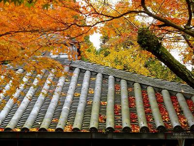 ���F��ω���05�y�_�E�����[�h����ꍇ�͉E�̉摜�T�C�Y���N���b�N���Ă��������z