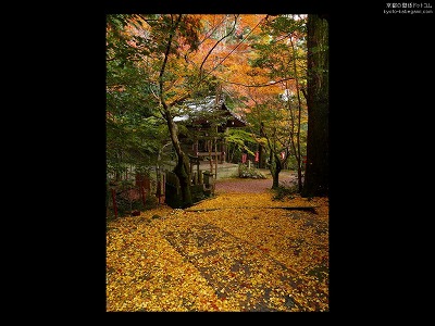 ���F��ω���07�y�_�E�����[�h����ꍇ�͉E�̉摜�T�C�Y���N���b�N���Ă��������z