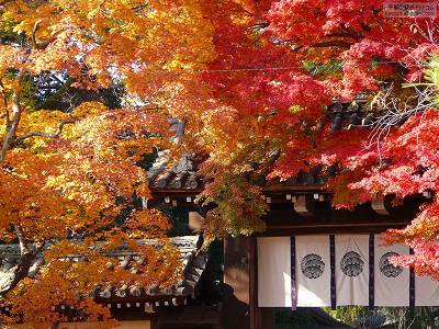 ���{�_��01�y�_�E�����[�h����ꍇ�͉E�̉摜�T�C�Y���N���b�N���Ă��������z