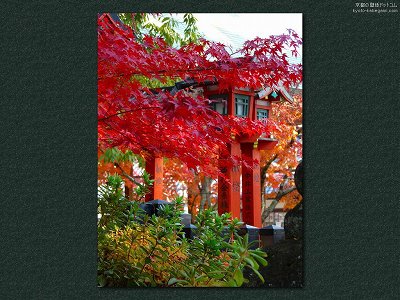 ���{�_��04�y�_�E�����[�h����ꍇ�͉E�̉摜�T�C�Y���N���b�N���Ă��������z