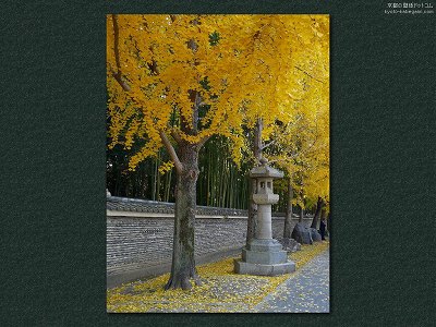 ���{�_��08�y�_�E�����[�h����ꍇ�͉E�̉摜�T�C�Y���N���b�N���Ă��������z