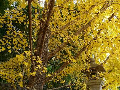 ���{�_��09�y�_�E�����[�h����ꍇ�͉E�̉摜�T�C�Y���N���b�N���Ă��������z