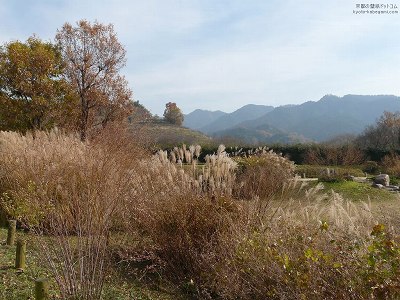 �Ε���Õ�01�y�_�E�����[�h����ꍇ�͉E�̉摜�T�C�Y���N���b�N���Ă��������z