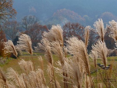 �Ε���Õ�02�y�_�E�����[�h����ꍇ�͉E�̉摜�T�C�Y���N���b�N���Ă��������z