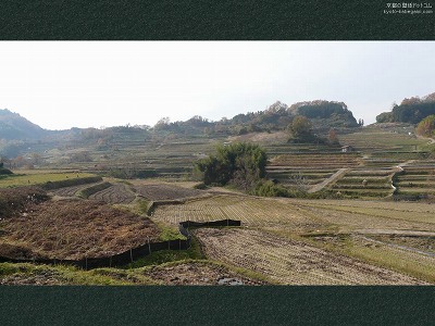 �Ε���Õ�03�y�_�E�����[�h����ꍇ�͉E�̉摜�T�C�Y���N���b�N���Ă��������z