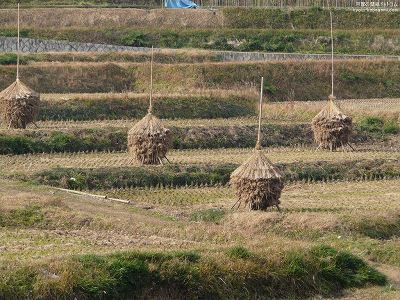 �Ε���Õ�04�y�_�E�����[�h����ꍇ�͉E�̉摜�T�C�Y���N���b�N���Ă��������z