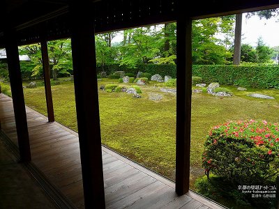 ���ʎ�02�y�_�E�����[�h����ꍇ�͉E�̉摜�T�C�Y���N���b�N���Ă��������z