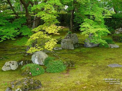 ���ʎ�10�y�_�E�����[�h����ꍇ�͉E�̉摜�T�C�Y���N���b�N���Ă��������z