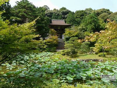 �~����02�y�_�E�����[�h����ꍇ�͉E�̉摜�T�C�Y���N���b�N���Ă��������z