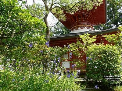 �~����10�y�_�E�����[�h����ꍇ�͉E�̉摜�T�C�Y���N���b�N���Ă��������z