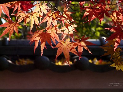 �i�ϓ�01�y�_�E�����[�h����ꍇ�͉E�̉摜�T�C�Y���N���b�N���Ă��������z