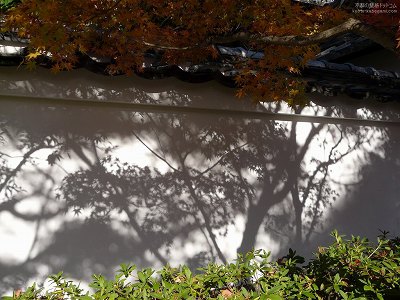 �i�ϓ�03�y�_�E�����[�h����ꍇ�͉E�̉摜�T�C�Y���N���b�N���Ă��������z