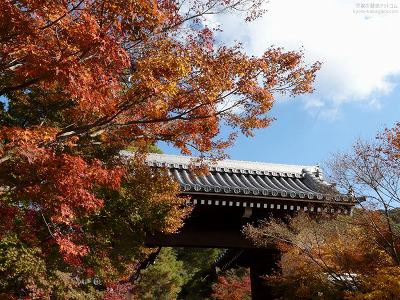 �i�ϓ�05�y�_�E�����[�h����ꍇ�͉E�̉摜�T�C�Y���N���b�N���Ă��������z