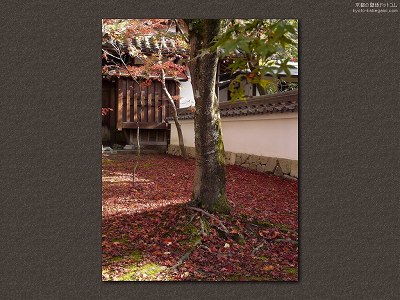 �i�ϓ�07�y�_�E�����[�h����ꍇ�͉E�̉摜�T�C�Y���N���b�N���Ă��������z