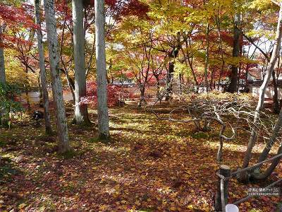 �i�ϓ�08�y�_�E�����[�h����ꍇ�͉E�̉摜�T�C�Y���N���b�N���Ă��������z