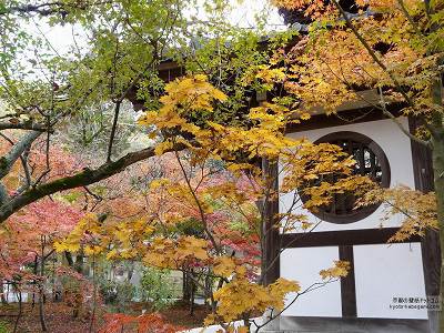 �i�ϓ�11�y�_�E�����[�h����ꍇ�͉E�̉摜�T�C�Y���N���b�N���Ă��������z