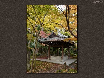 �i�ϓ�15�y�_�E�����[�h����ꍇ�͉E�̉摜�T�C�Y���N���b�N���Ă��������z