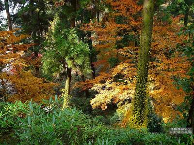 ����09�y�_�E�����[�h����ꍇ�͉E�̉摜�T�C�Y���N���b�N���Ă��������z