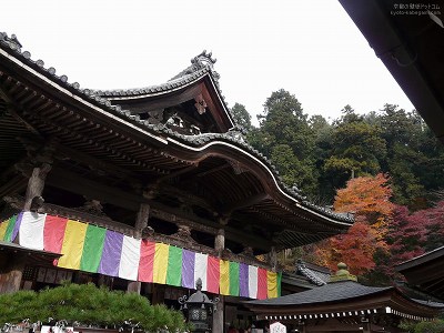 ����11�y�_�E�����[�h����ꍇ�͉E�̉摜�T�C�Y���N���b�N���Ă��������z