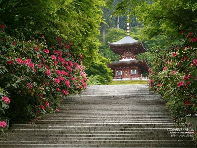 ������03�y�_�E�����[�h����ꍇ�͉E�̉摜�T�C�Y���N���b�N���Ă��������z