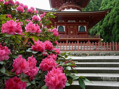 ������06�y�_�E�����[�h����ꍇ�͉E�̉摜�T�C�Y���N���b�N���Ă��������z