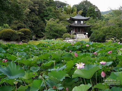 ���C��06�y�_�E�����[�h����ꍇ�͉E�̉摜�T�C�Y���N���b�N���Ă��������z