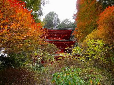 ��D��04�y�_�E�����[�h����ꍇ�͉E�̉摜�T�C�Y���N���b�N���Ă��������z