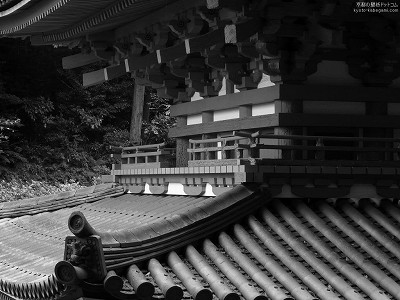 ��D��07�y�_�E�����[�h����ꍇ�͉E�̉摜�T�C�Y���N���b�N���Ă��������z