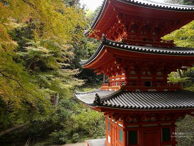 ��D��08�y�_�E�����[�h����ꍇ�͉E�̉摜�T�C�Y���N���b�N���Ă��������z