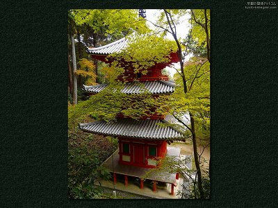 ��D��09�y�_�E�����[�h����ꍇ�͉E�̉摜�T�C�Y���N���b�N���Ă��������z