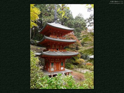 ��D��10�y�_�E�����[�h����ꍇ�͉E�̉摜�T�C�Y���N���b�N���Ă��������z