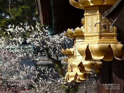 �k��V���{01�y�_�E�����[�h����ꍇ�͉E�̉摜�T�C�Y���N���b�N���Ă��������z