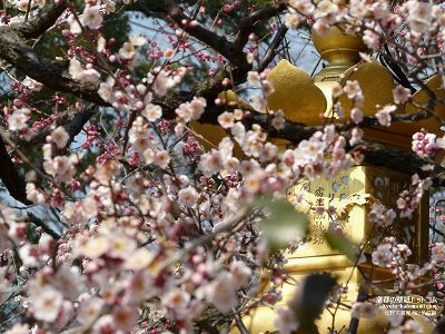 �k��V���{02�y�_�E�����[�h����ꍇ�͉E�̉摜�T�C�Y���N���b�N���Ă��������z