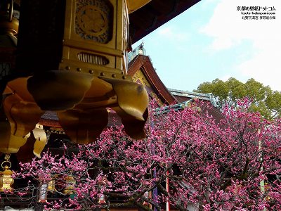 �k��V���{08�y�_�E�����[�h����ꍇ�͉E�̉摜�T�C�Y���N���b�N���Ă��������z