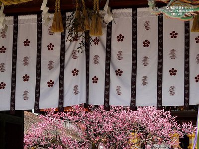 �k��V���{09�y�_�E�����[�h����ꍇ�͉E�̉摜�T�C�Y���N���b�N���Ă��������z