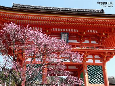 ������01�y�_�E�����[�h����ꍇ�͉E�̉摜�T�C�Y���N���b�N���Ă��������z