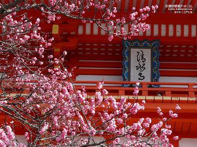 ������02�y�_�E�����[�h����ꍇ�͉E�̉摜�T�C�Y���N���b�N���Ă��������z