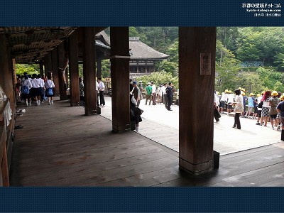 ������08�y�_�E�����[�h����ꍇ�͉E�̉摜�T�C�Y���N���b�N���Ă��������z