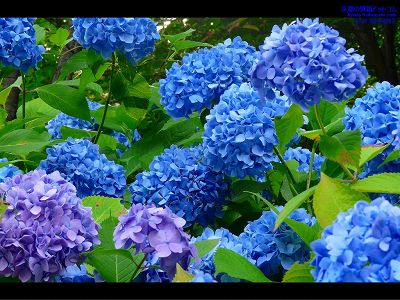 ������11�y�_�E�����[�h����ꍇ�͉E�̉摜�T�C�Y���N���b�N���Ă��������z