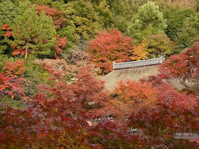 ������24�y�_�E�����[�h����ꍇ�͉E�̉摜�T�C�Y���N���b�N���Ă��������z