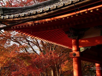 ������25�y�_�E�����[�h����ꍇ�͉E�̉摜�T�C�Y���N���b�N���Ă��������z