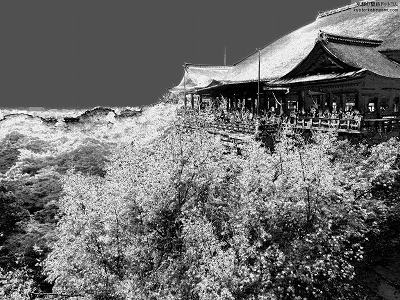 ������29�y�_�E�����[�h����ꍇ�͉E�̉摜�T�C�Y���N���b�N���Ă��������z