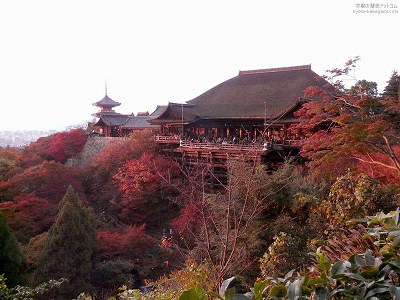 ������33�y�_�E�����[�h����ꍇ�͉E�̉摜�T�C�Y���N���b�N���Ă��������z