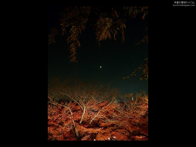 ������45�y�_�E�����[�h����ꍇ�͉E�̉摜�T�C�Y���N���b�N���Ă��������z